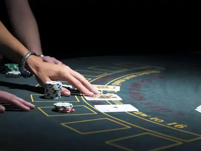 Cricket football and casino-style browsing areas on app 1111